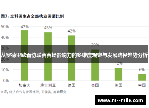 从罗德里欧看协联赛赛场影响力的多维度观察与发展路径趋势分析